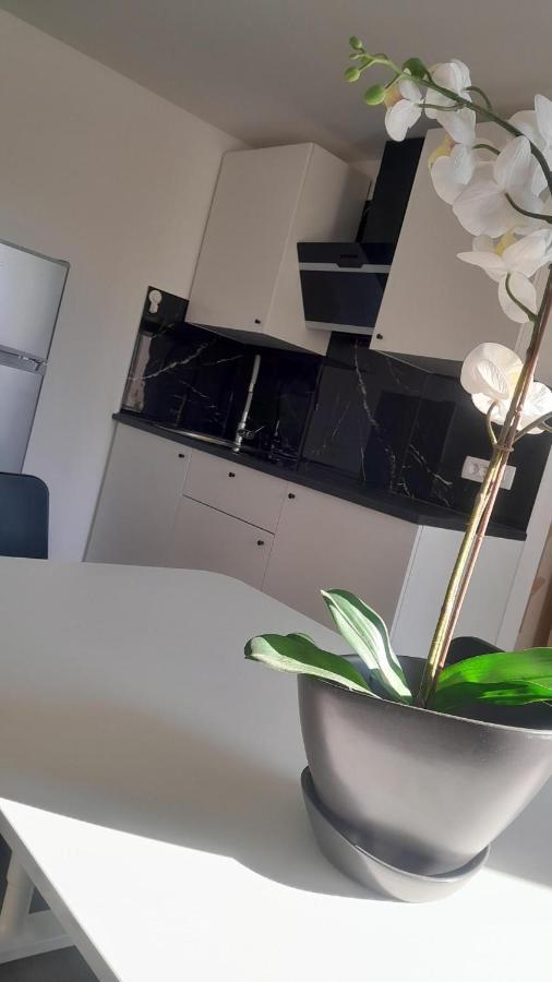 Apartma Ana Koper Luaran gambar